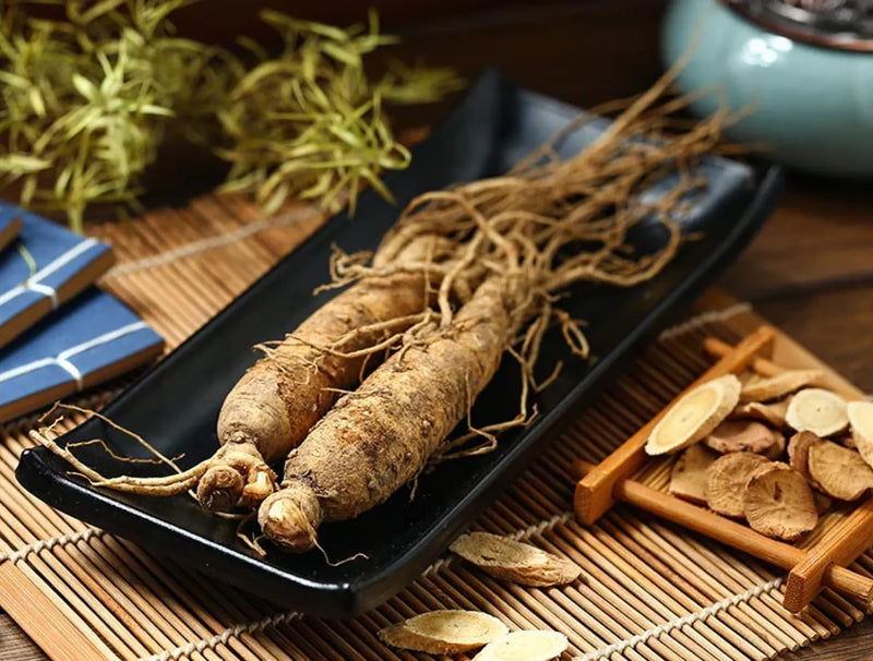 Extracto de Panax Ginseng